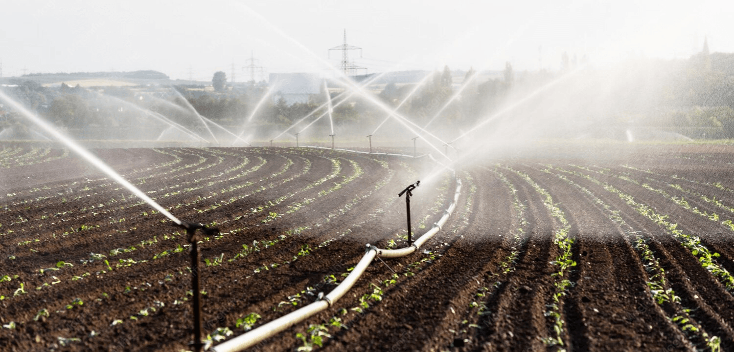 Sistema de riego por aspersión trabajando sobre un cultivo